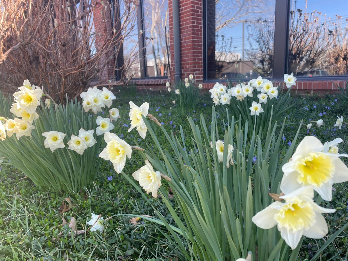 Denbo Center for Humanities & the Arts tweet media