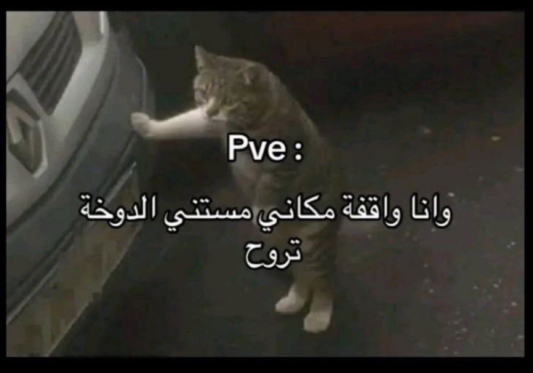 وجدان أدريانا tweet media