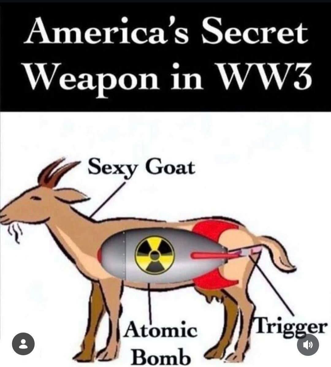 Shaun Nally tweet media