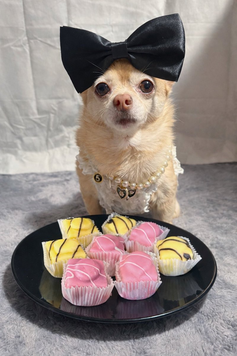 🧚🏻‍♀️🎀 Tinkerbell 🎀🧚🏻‍♀️ tweet media