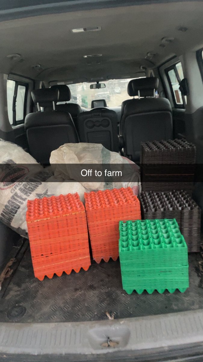 Zery🔰 tweet media