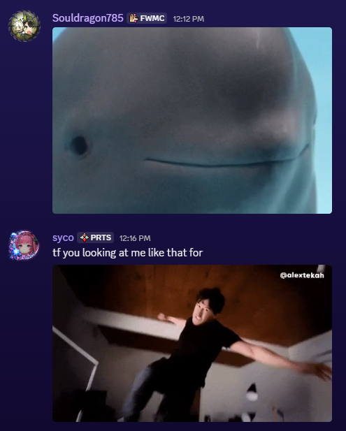 Syco 💜🐉REBRANDING tweet media