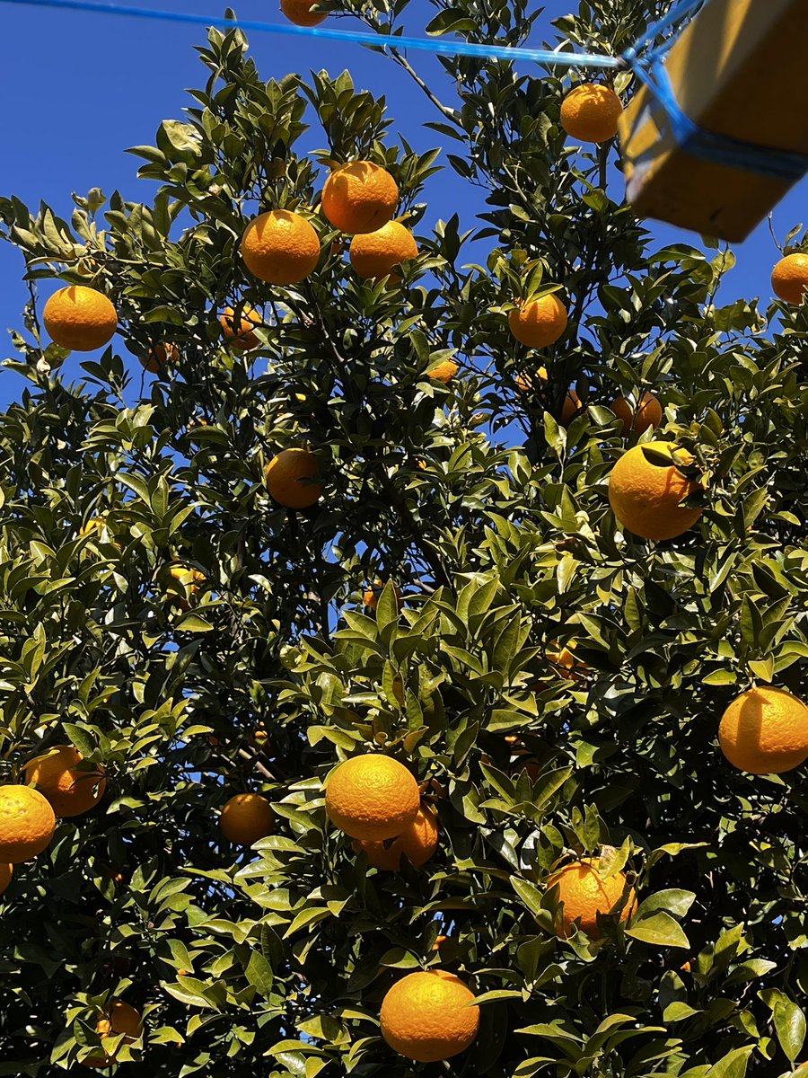 . (@ddddxot) on Twitter photo 