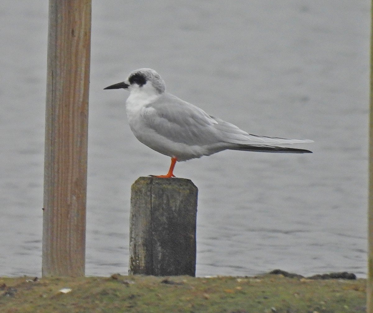 Clive Hargrave tweet media