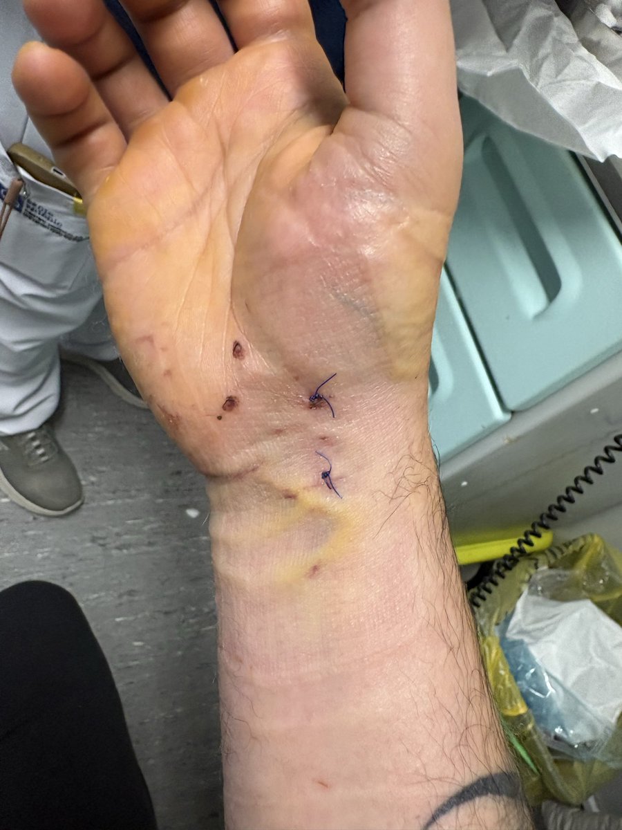 by.castro tweet media