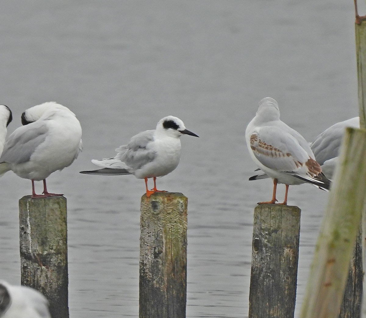 Clive Hargrave tweet media