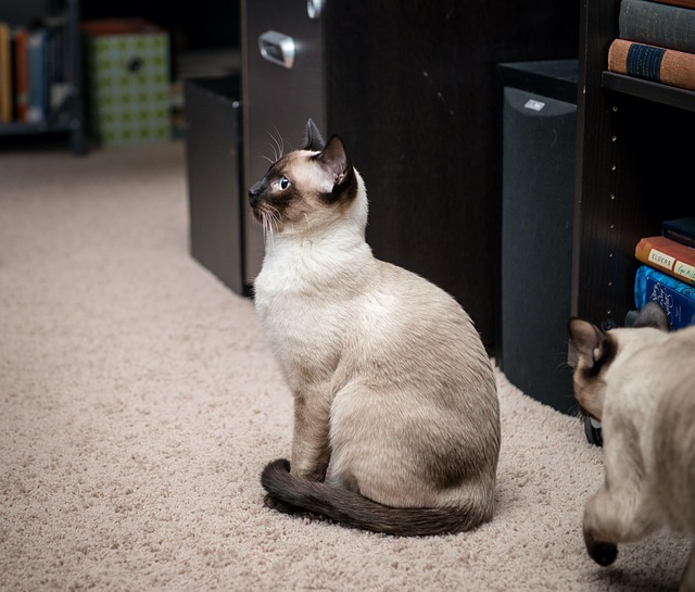 Gary Jass tweet media