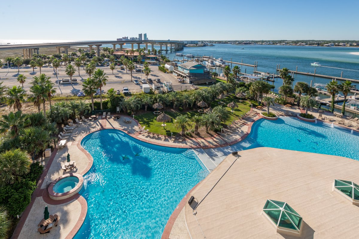 CaribeResort's tweet image. Zero-entry pool and zero problems. Time to take a break!
🌊 🌴 🏖️ 🍹

...
#staycaribe #poolday #zeroentrypool #zeroproblems #gulfcoast #gulfcoastvacay #saltwater #saltlife #palmtrees #condo #resort