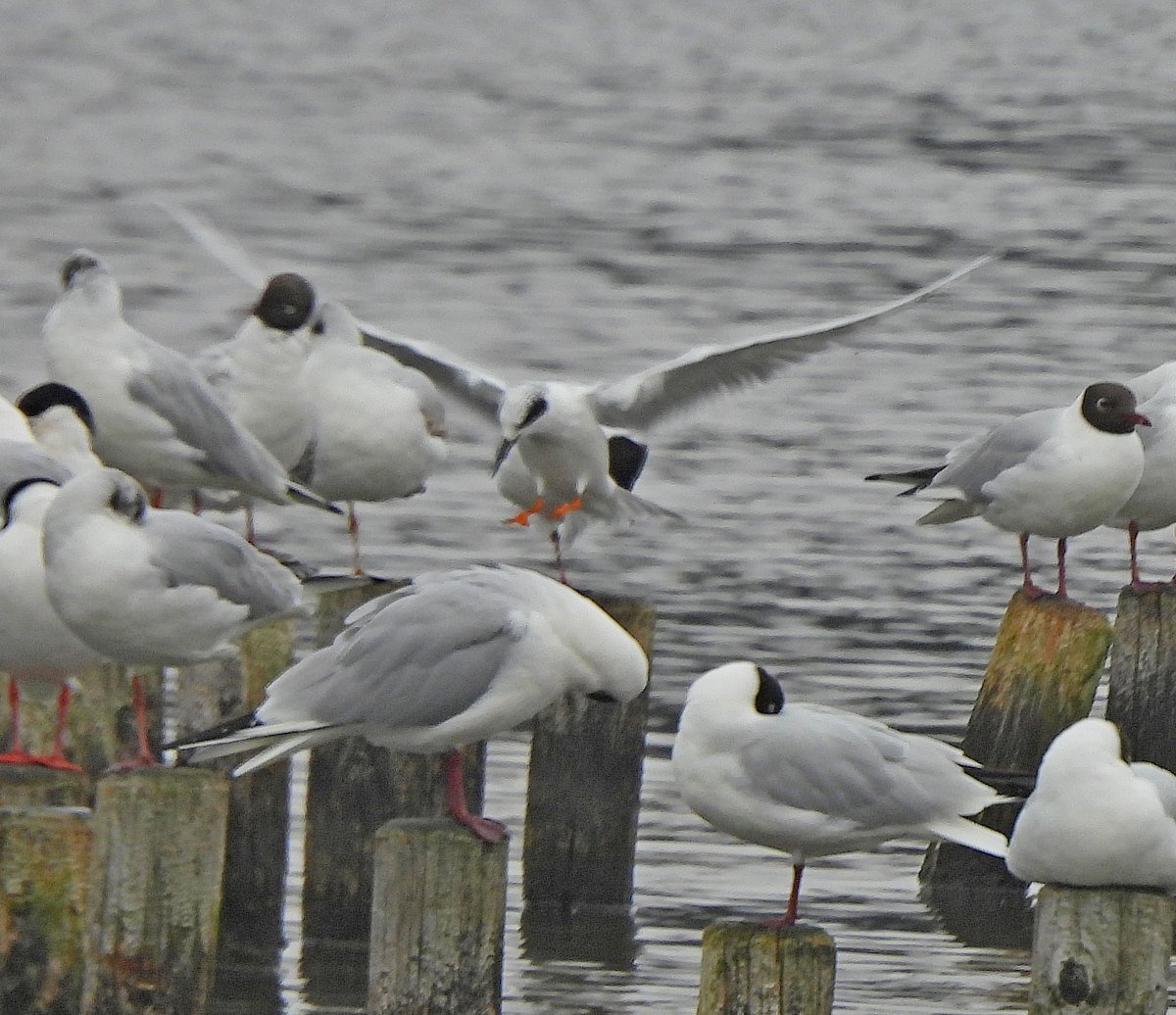 Clive Hargrave tweet media