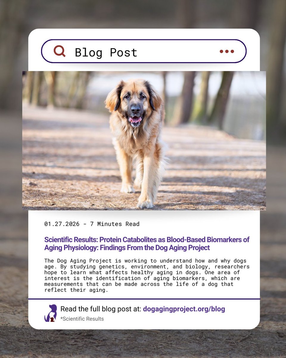 Dog Aging Project tweet media