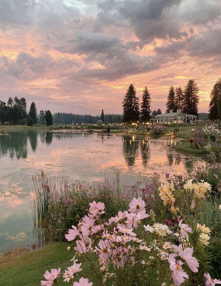 only aesthetic tweet media