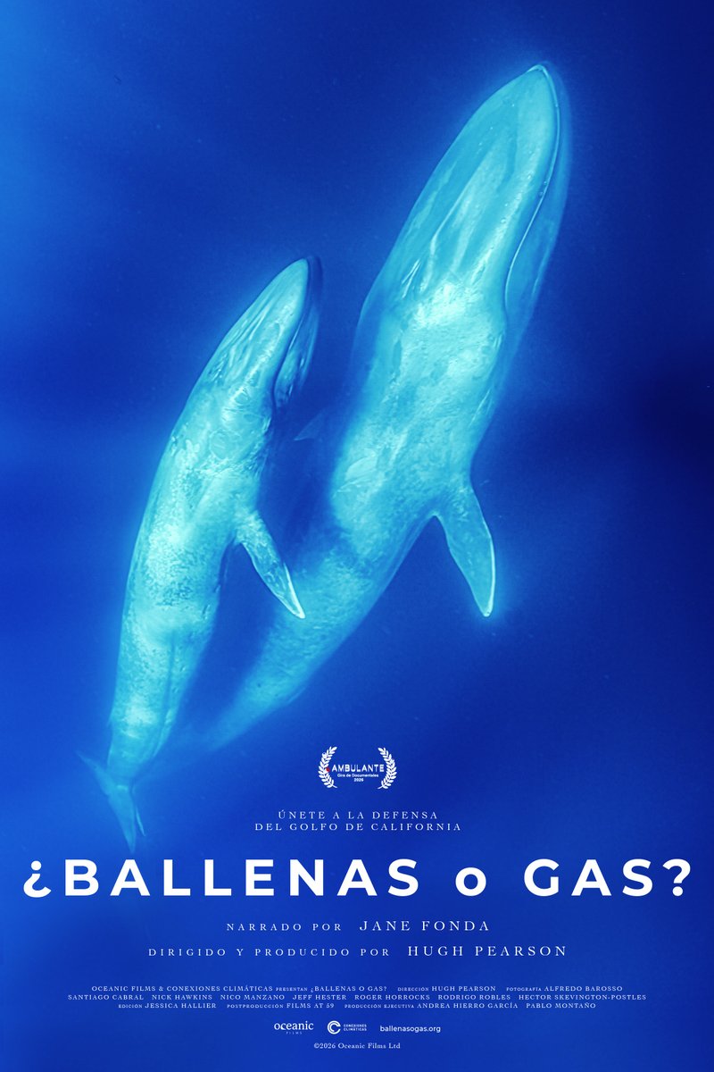 Conexiones Climáticas tweet media