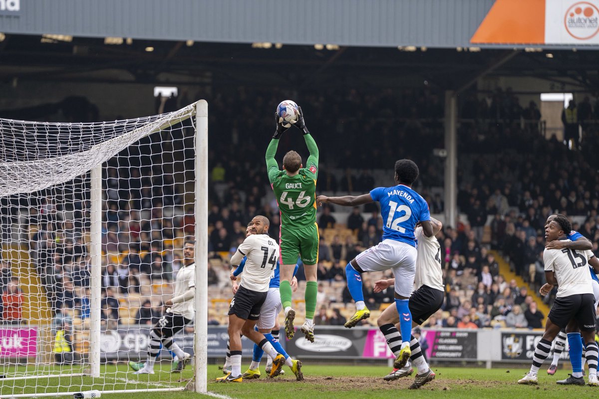 Joe Gauci tweet media