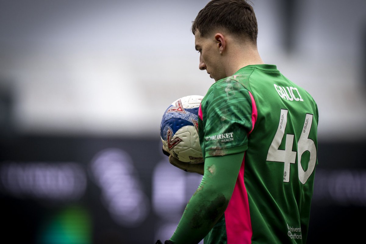 Joe Gauci tweet media