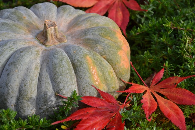 Kris Peterson tweet media