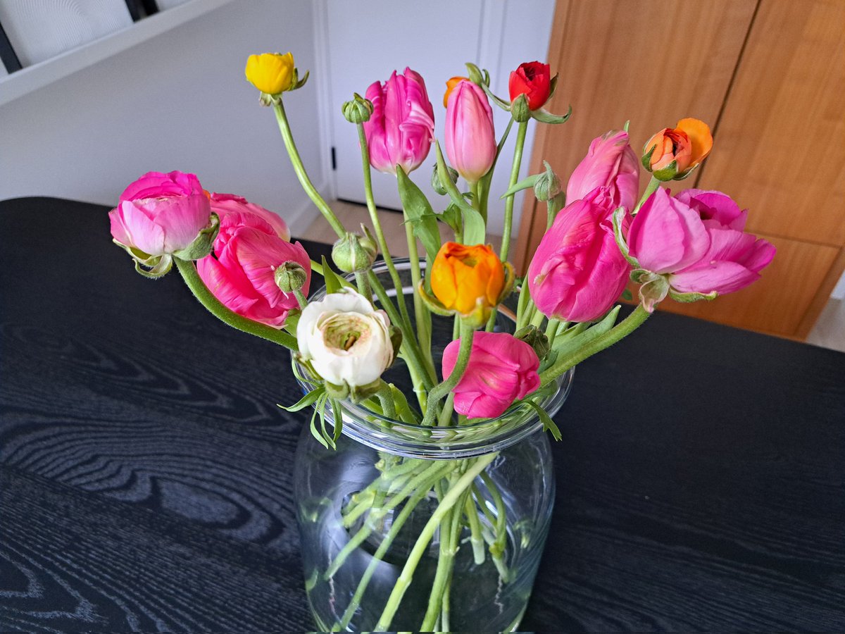 EllenBax2's tweet photo. @Lizzy_NL gefeliciteerd met je verjaardag!! https://t.co/cum4Uk5Ezk