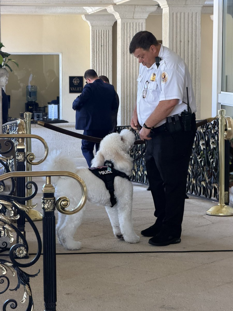 Reese Gorman tweet media