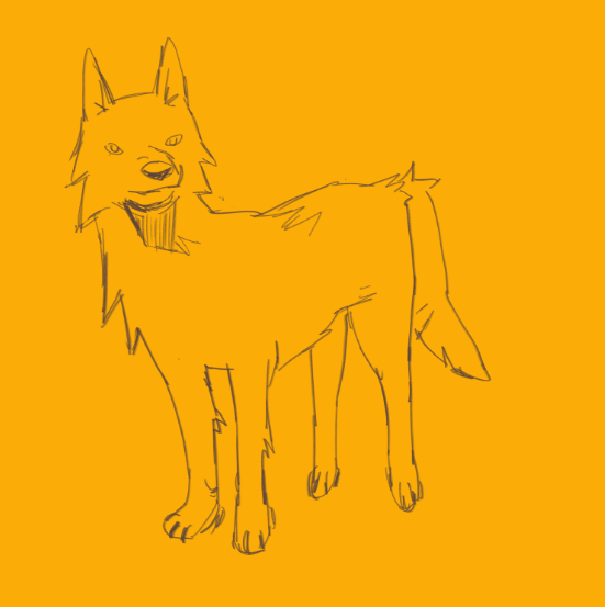 rentdogs's tweet photo. its shedding time get ready for scruffy coyotes https://t.co/SSq40hOqYk