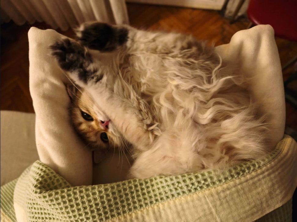 rau 🇦🇷 tweet media