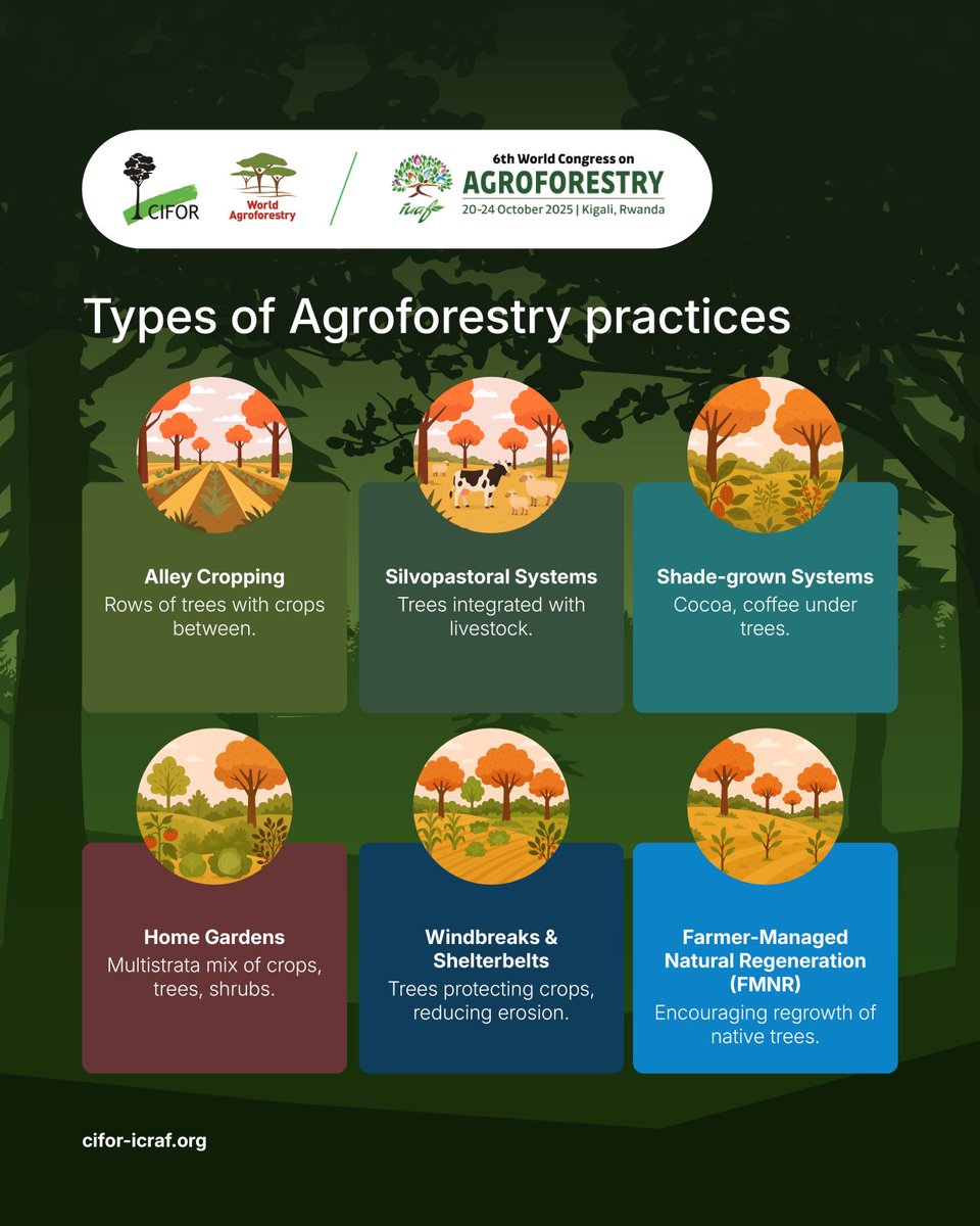 CIFOR-ICRAF tweet media