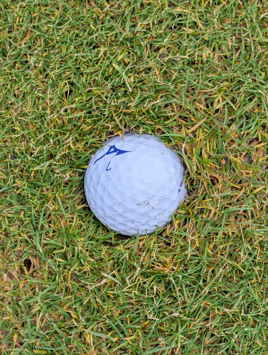 Andy Davidson tweet media