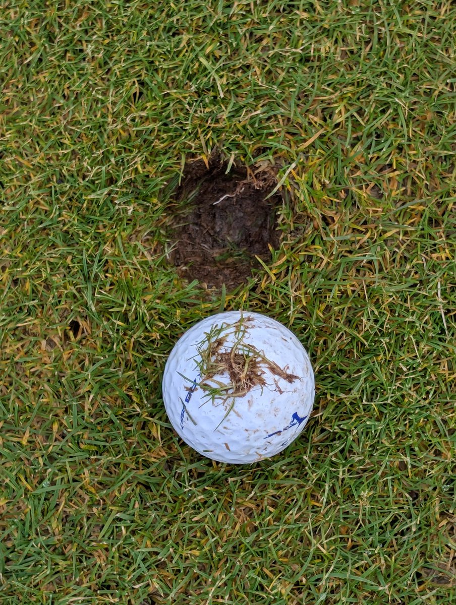 Andy Davidson tweet media