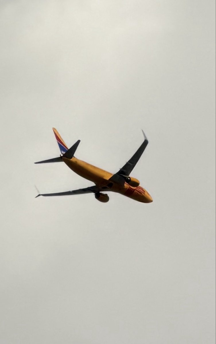 DAL Plane Spotting tweet media