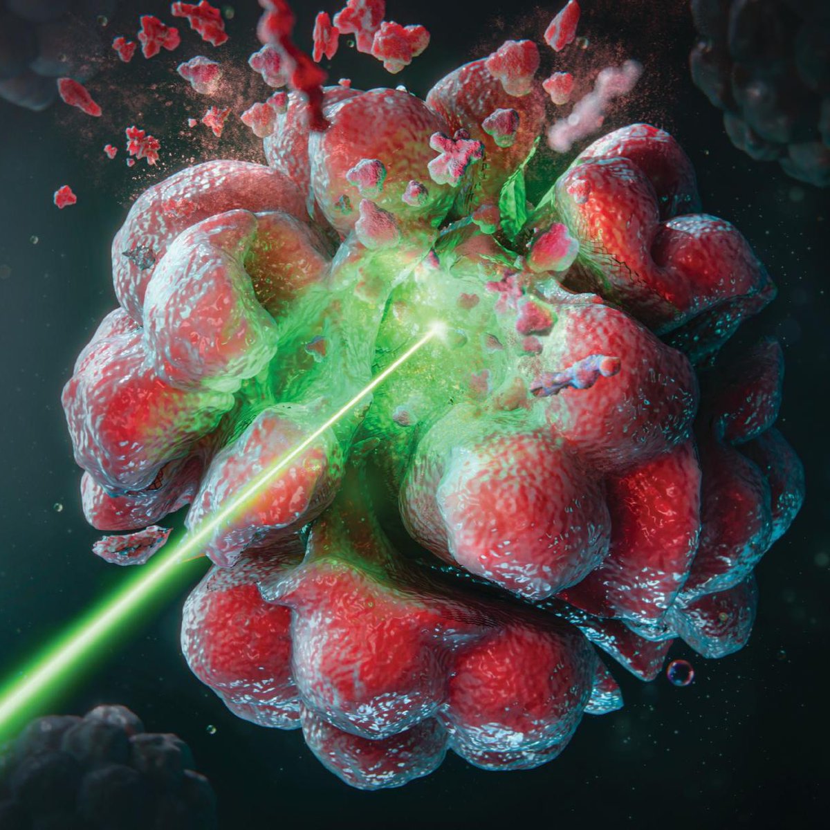 opnmagazine tweet media