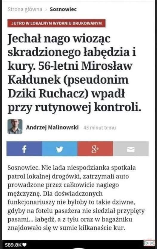 GIO THE PIEKIELNIK tweet media