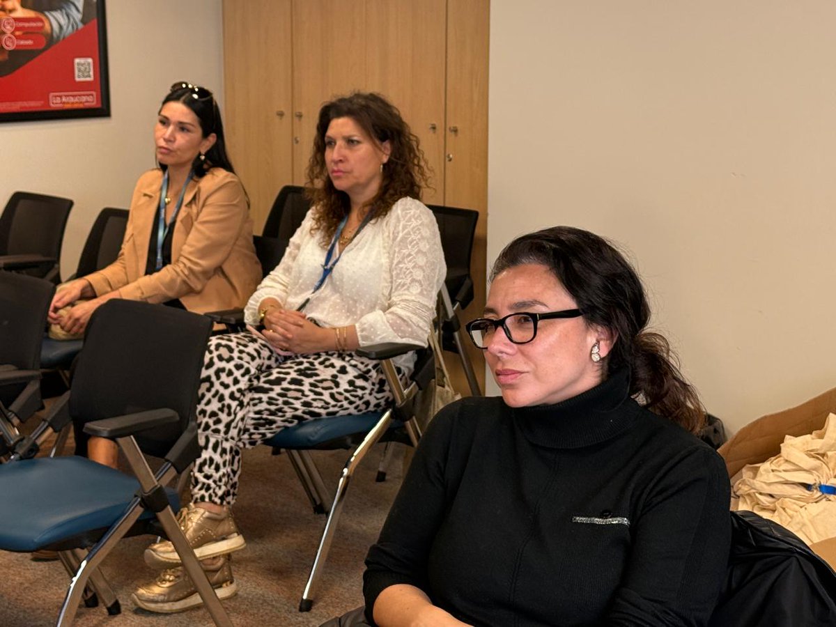 Delegación Presidencial Provincial de Chiloé tweet media