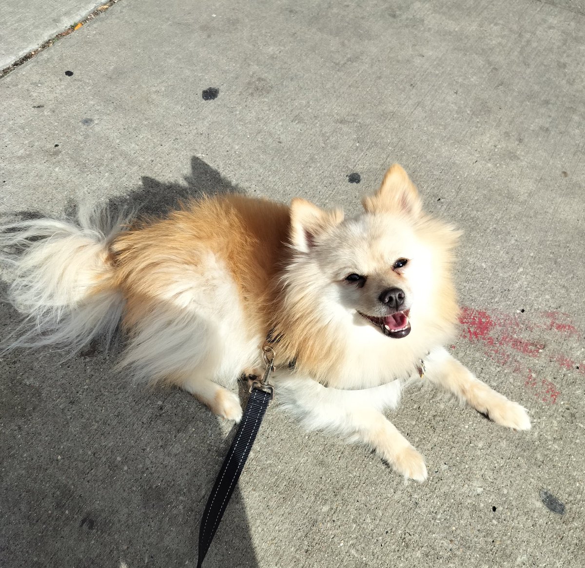 Angela Bassett’s Oscar tweet media