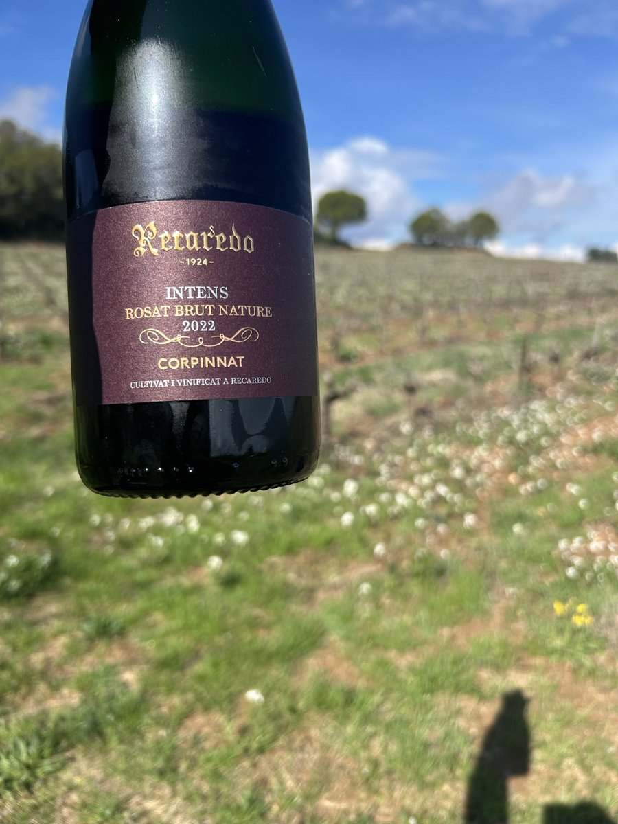 Jan Fargas Gallés tweet media