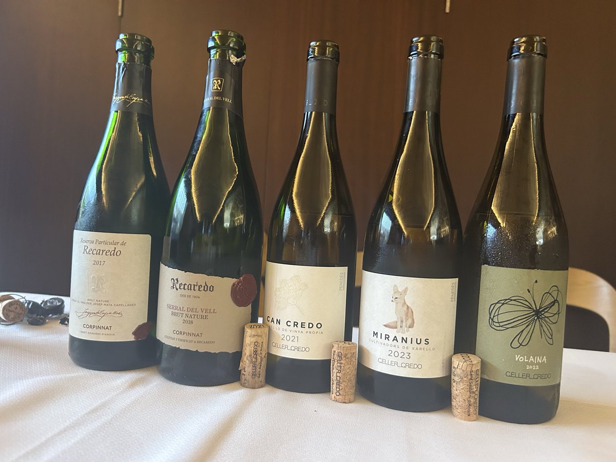 Jan Fargas Gallés tweet media