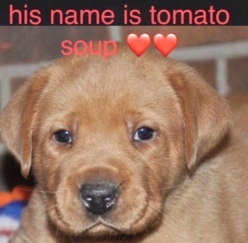 fillophane's tweet image. checkpoint da jornada da vida