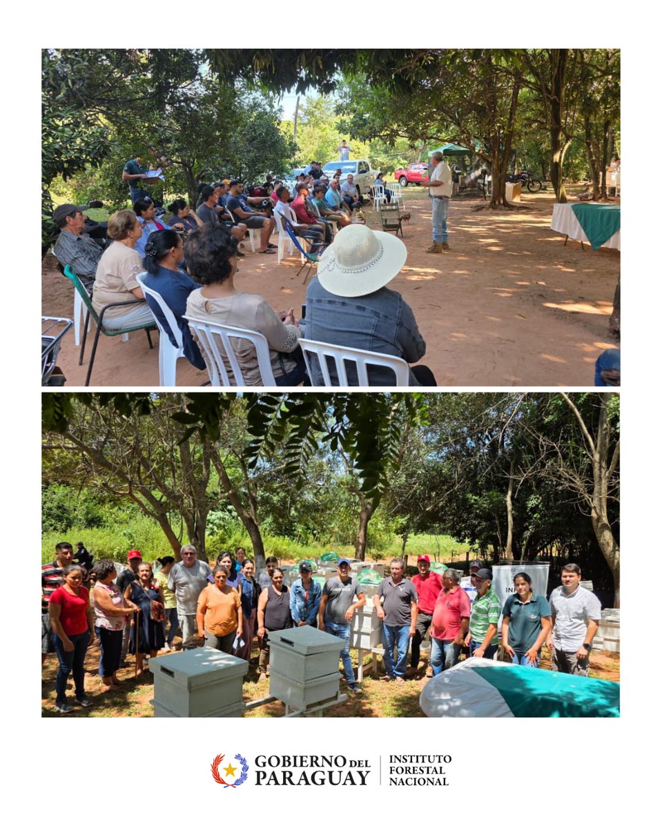 Instituto Forestal Nacional del Paraguay tweet media