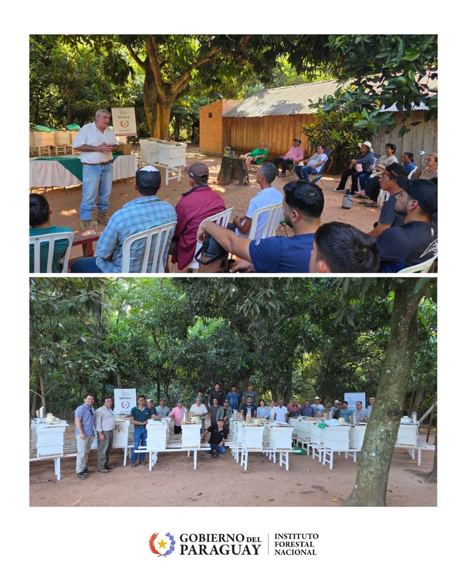 Instituto Forestal Nacional del Paraguay tweet media