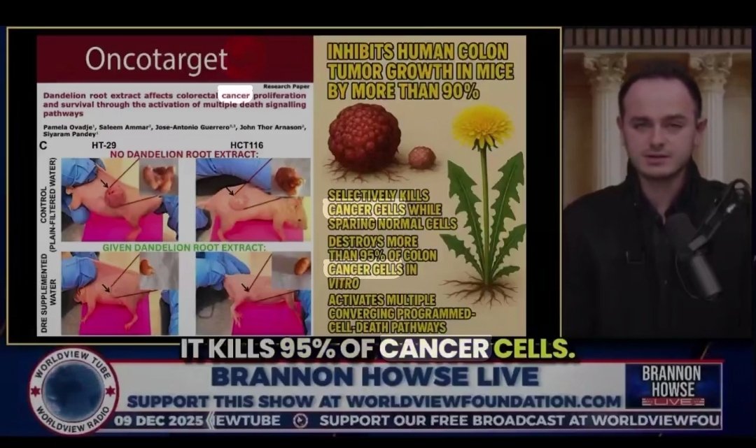 ❤ Craziest Info Out There ❤ 🫡🙏🇺🇲 tweet media