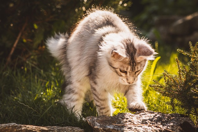 Antonio Olson tweet media