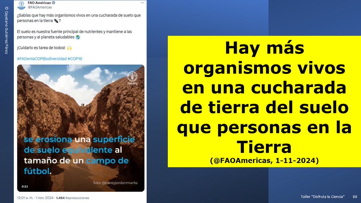 disfrutalaciencia tweet media