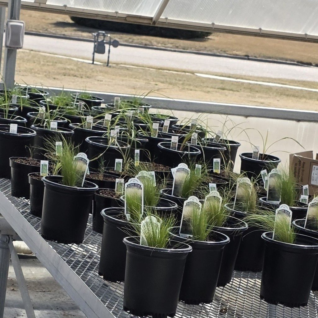 Franklin Flyers tweet media