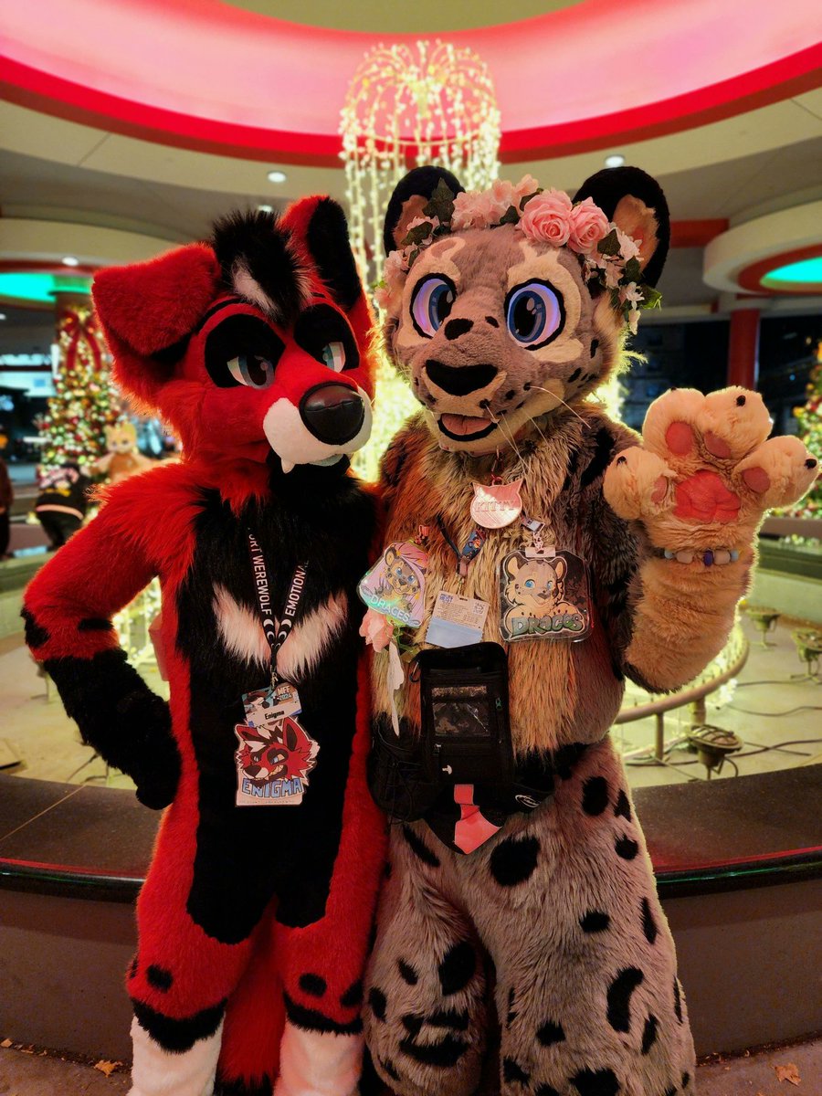 Multicolorbark's tweet photo. Time to feature the ever amazing Draces!He has been a dear friend of mine for many years.He has gone through a couple suits by me with his second suit getting a face lift.Hes always been creative with his suits and I know now has many cool features he did himself!🐱🌸🍃@DracesLW https://t.co/k6iuCM9fuK