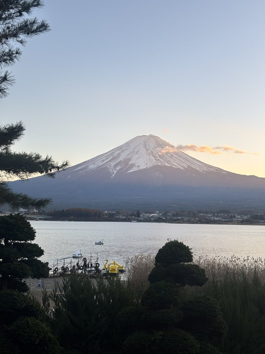 ❀ Schey ❀ tweet media