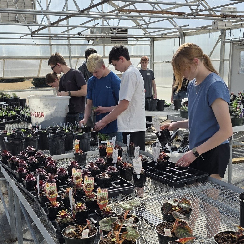 Franklin Flyers tweet media