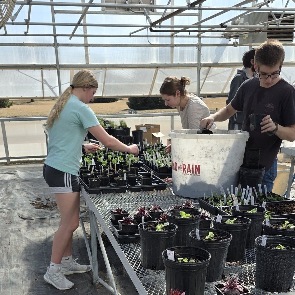 Franklin Flyers tweet media