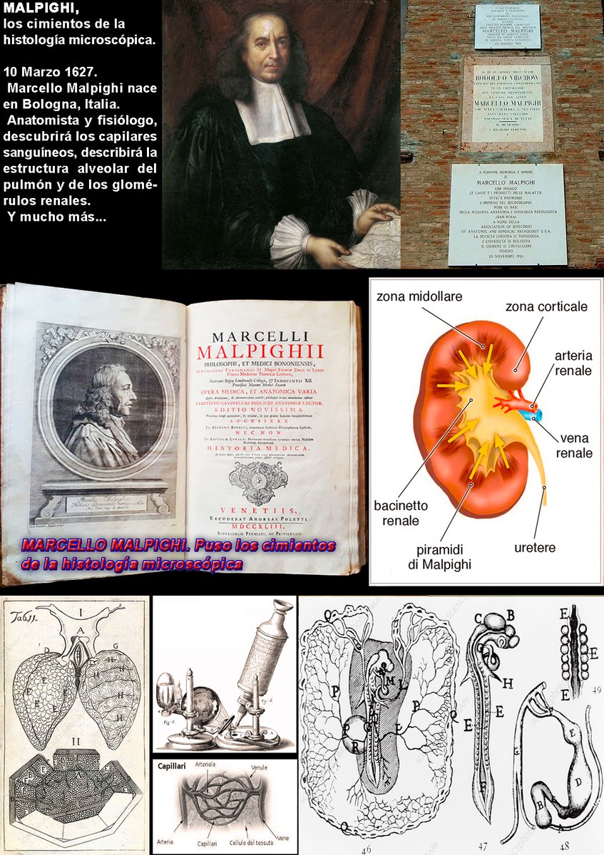 🐪🇪🇺 🇺🇦Josto Maffeo🚑X tweet media