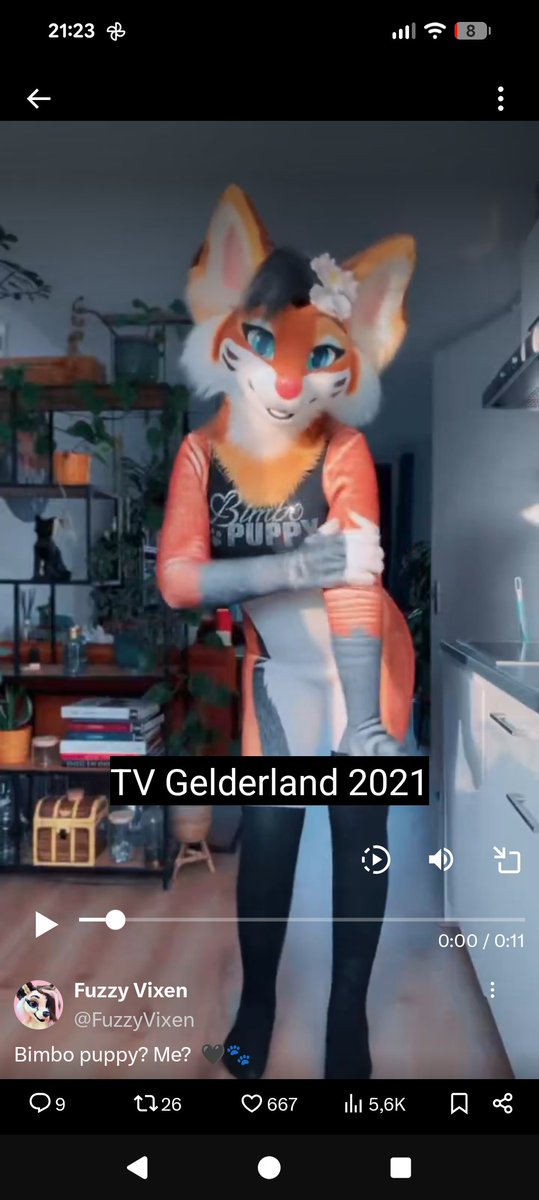 Tsuki 月 ⛩️ tweet media