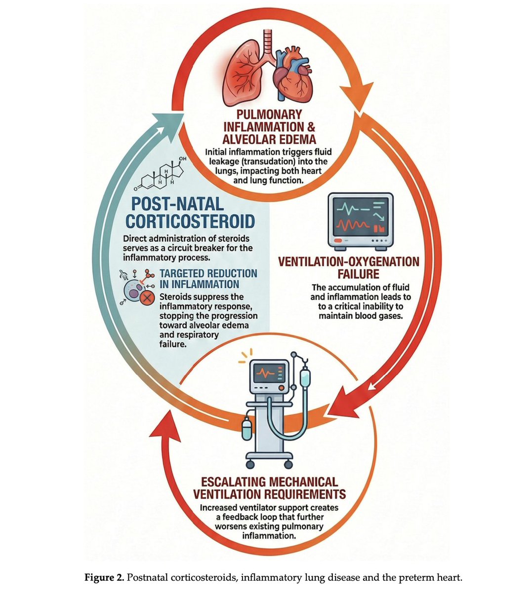 NeoCardioLab - Gabriel Altit tweet media