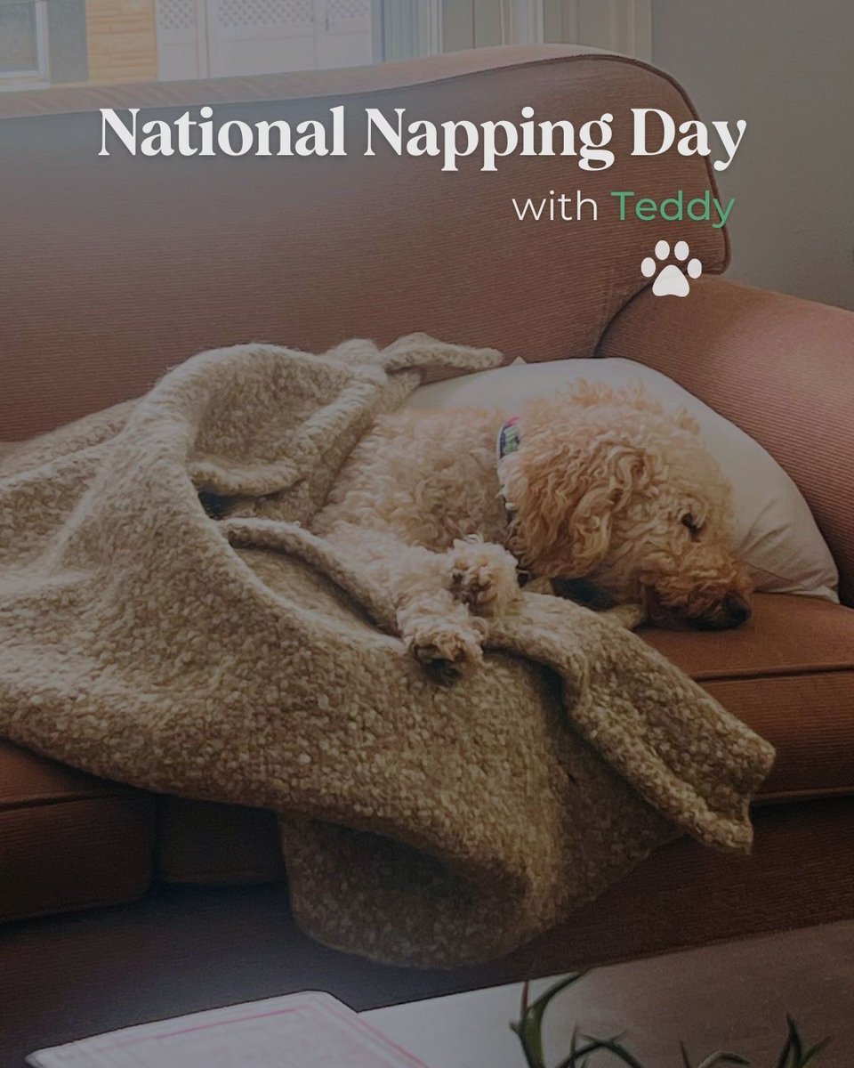 Jay Ruderman tweet media