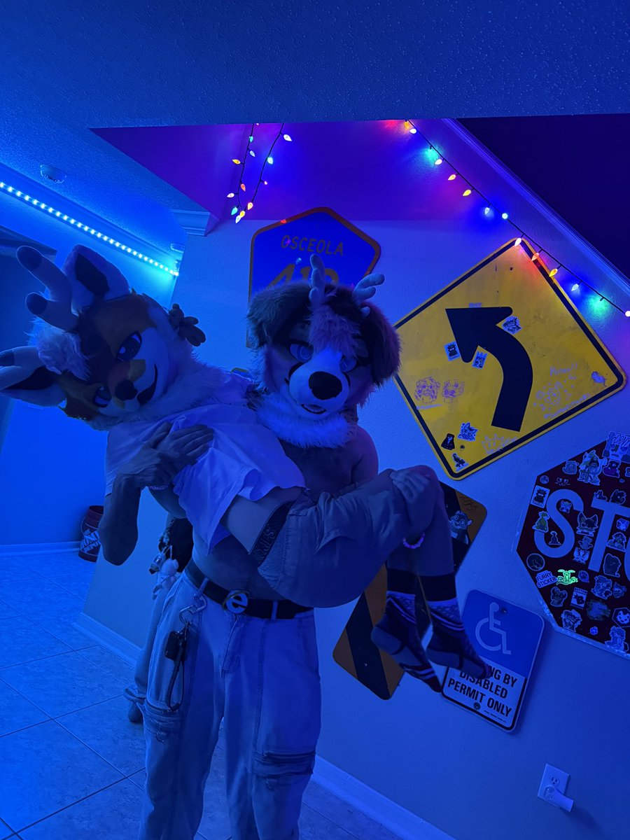 🦴Burning_Sea 🔜LVFC,TFF,FWA tweet media