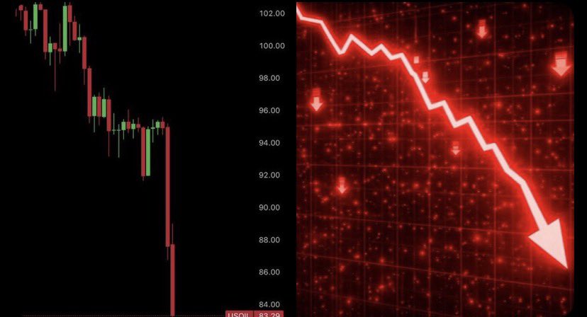Le_patriote13 tweet media
